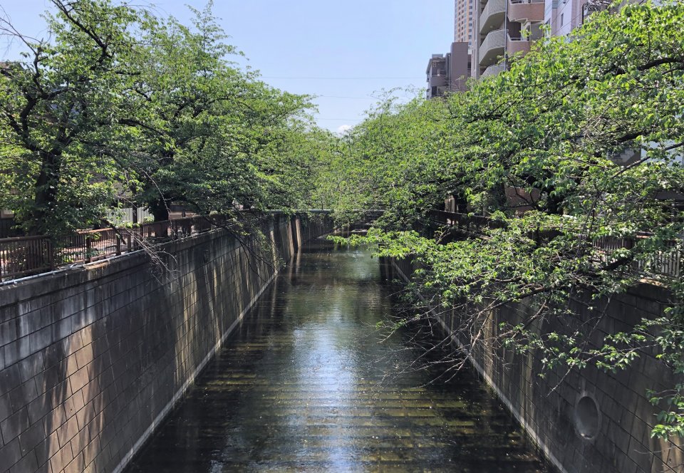 本日も営業いたしております✿の画像